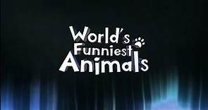 World’s Funniest Animals "Trailer"