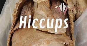 What Are Hiccups, and Why Do We Get Them??
