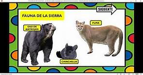 ANIMALES DE LA REGION : COSTA , SIERRA Y SELVA