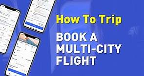 ALL ABOUT FLIGHTS | How To Book A Multi-city Flight? Beginners You Need This Video
