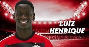 Luiz Henrique 2023 - Bem Vindo ao Flamengo? - Skills & goals | HD