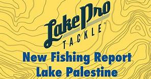 Lake Palestine Fishing Report (4/21/23)