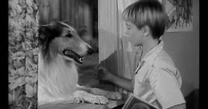 Lassie - Episode 2 - "Arithmetic" (09/19/1954) - directed by Sheldon Leonard