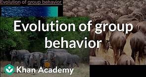 Evolution of group behavior | Evolution and natural selection | High school biology | Khan Academy