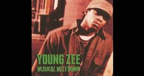 Young Zee - Musical Meltdown (Full Album)
