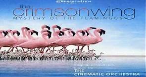 Crimson Wing- Mystery of the Flamingos : The Exodus