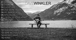 Dave Winkler - Most Viewed Acoustic Covers