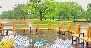 【1080P】【散步】代代木公园的雨天早晨(代々木公园), 日本东京涩谷区