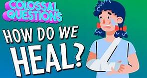 How Do We Heal? | COLOSSAL QUESTIONS
