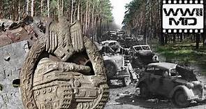 WWII Metal Detecting - German Panzer and SS - Discover History on the Eastern Front