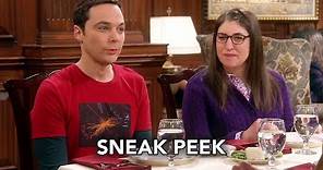 The Big Bang Theory 12x13 Sneak Peek #2 "The Confirmation Polarization" (HD)