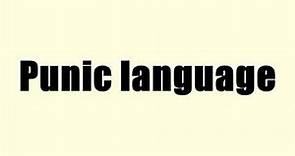 Punic language