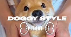 Doggy Style, Episode 39: Best Viral Dogs