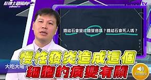 舍利子是什麼？舍利子成分為何？跟結石有關係嗎？