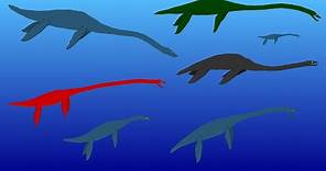 Sea Monsters - Plesiosaur Size Comparison - Extinct Plesiosaurus