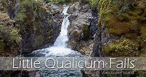 Little Qualicum Falls Loop On Vancouver Island | Outdoor Vancouver