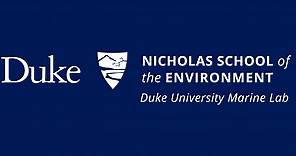 Duke University Marine Lab | Nicholas School of the Environment