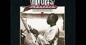 Blues Masters 10 - Blues Roots [Full Album]