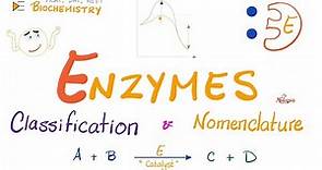 Enzymes Nomenclature and Classifications | Names and Types | Biochemistry 🧪