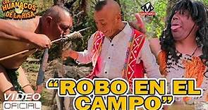 ROBO EN EL CAMPO - Los Huanacos de la Risa 😂 2023 El Cholo Arcadio