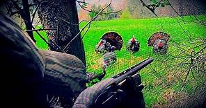 Pennsylvania Spring Turkey Hunting Episode V