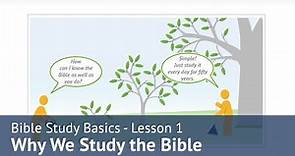 Bible Study Basics | Lesson 1 - Why We Study the Bible