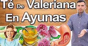 Té De Valeriana ¿Para Qué Sirve? - Beneficios De La Valeriana Para Tu Salud Y Belleza