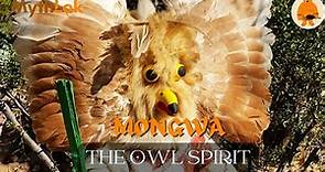 Mongwa : The Owl Spirit | Hopi Mythology | Native American Mythology | Mythlok