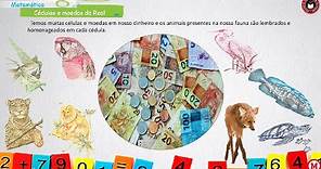 Cédulas e moedas do Real - Sistema Monetário Brasileiro