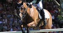 Paul Beecher proves unbeatable in Hickstead Derby - Horse & Hound