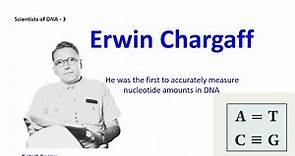 Erwin Chargaff | First man who accurately measured nucleotide amounts in DNA | DNA structure