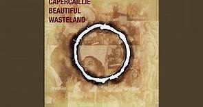 Beautiful Wasteland