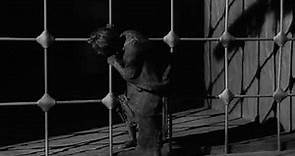 El increíble hombre menguante ( Jack Arnold , 1957 )