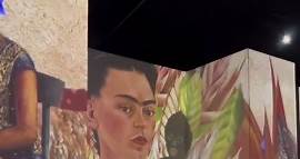 Apo Resendiz on Instagram: "Fuimos a conocer la increíble exposición de Frida Kahlo en el Gómez Morin🙌🏻✨🤩 . . . . #recomendaciones #museos #centrohistorico #ciudad #queretaro #mexico #santiagodequeretaro #travel #turismo #fridakahlo #diegorivera #arte #cultura #historia #pintores #famosos #pintura #artistas #sabiasque #querecool #viral #tendencias #apocool"