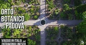 Viaggio in Italia nel Patrimonio Unesco: Orto botanico di Padova