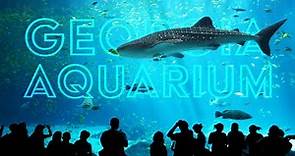 Georgia Aquarium Tour - How to See Everything