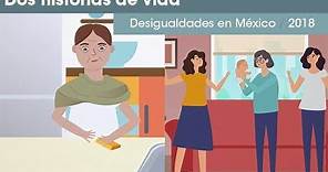 Informe Desigualdades en México 2018. Dos historias de vida
