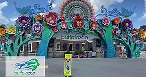 Buffalo Zoo | Walkthrough Zoo Trip | Buffalo, NY