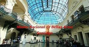 Museo Nacional de Bellas Artes Santiago de Chile