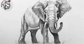Como Dibujar un Elefante Realista con Lapiz muy Fácil y Paso a Paso