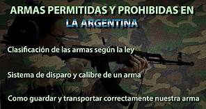 Armas y municiones permitidas y prohibidas en Argentina. Clasificación según acción y calibre