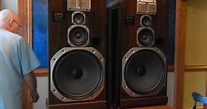 Pioneer CS-E9900 Speakers