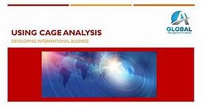 Developing International Business with Cage Analysis