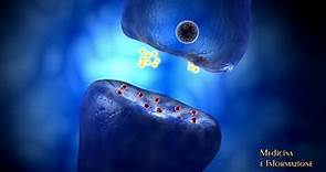 SLA (sclerosi laterale amiotrofica): nuovi biomarcatori (genetici e non) per orientare la terapia