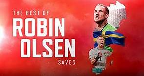 The best of Robin Olsen | Saves and goalkeeping compilation | Sheffield United's new Swedish GK 🇸🇪