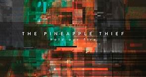 The Pineapple Thief 'Hold Our Fire'
