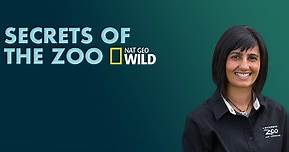 Secrets of the Zoo-Season 4 Trailer