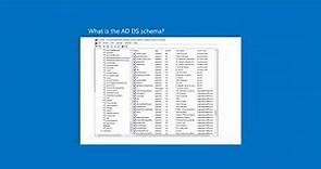 What is the AD DS schema?