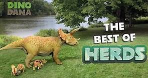 Dino Dana | Best of Herds - International Dinosaur Day
