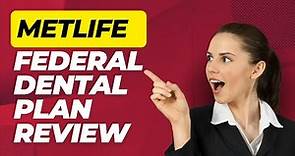 MetLife Federal Dental Plan Review Pros and Cons